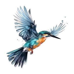 Kingfisher sticker colorful bird sticker watercolor style wall sticker car sticker nature decoration gift idea for bird lovers and animal friends