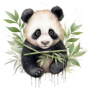 Słodka naklejka z pandą Naklejka na samochód Naklejka na ścianę Baby Panda Motyw zwierzęcy Dekoracja bambusowa Pomysł na prezent z akwarelową pandą Naklejka dla dzieci ze zwierzętami