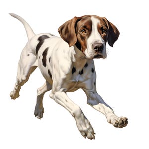 Puede incluir: Ilustración digital de un perro en movimiento. El perro tiene un pelaje blanco con manchas negras y marcas marrones en la cabeza y las orejas. El perro corre con la cola extendida sobre un fondo blanco.