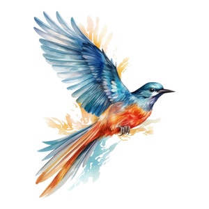 Watercolor bird sticker colorful bird sticker wall sticker nature decoration animal art car sticker