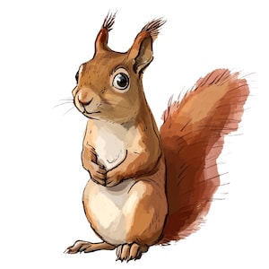 Könnte beinhalten: Eine Aquarellillustration eines Eichhörnchens. Das Eichhörnchen hat rotbraunes Fell, einen flauschigen Schwanz und steht aufrecht mit gefalteten Pfoten. Das Eichhörnchen hat einen freundlichen Ausdruck und ist vor weißem Hintergrund.