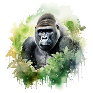 May include: Watercolor illustration of a gorilla with a serious expression. The gorilla is depicted in shades of gray and black, surrounded by green and yellow watercolor foliage. The artwork has a painterly style and a white background.