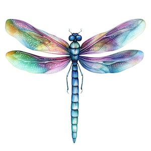 Mooie Dragonfly Sticker Klantgerichte Outdoor Vinyl Sticker