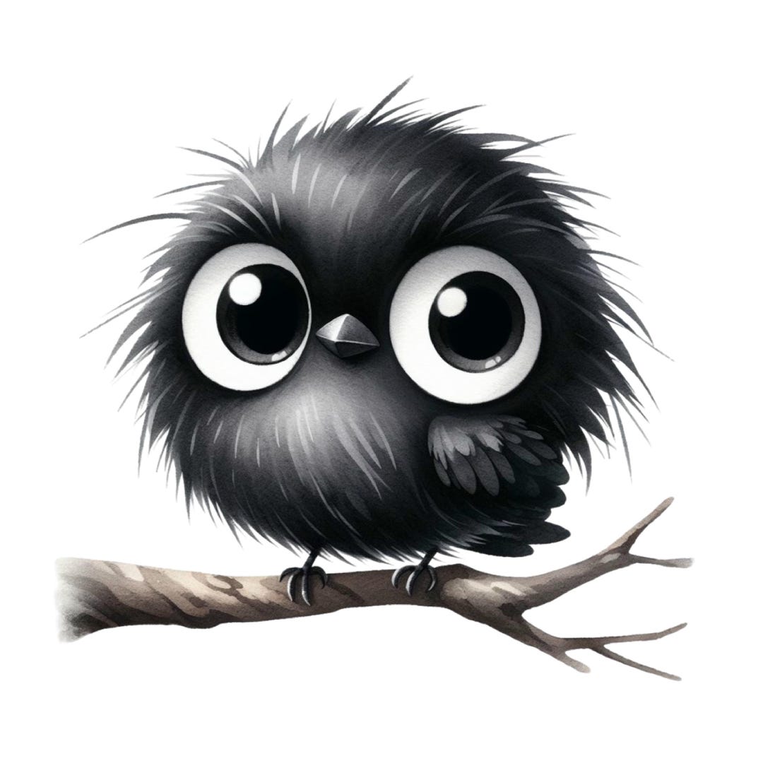 Raven Sticker Set 9 X 9 Cm Funny Black Bird Car Sticker Humorous Crow ...