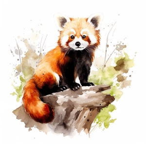 Autocollant aquarelle panda rouge personnalisable en vinyle extérieur
