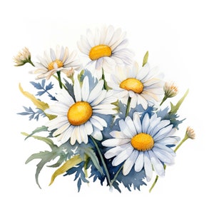 2 adesivi a forma di margherita, adesivi ad acquerello con fiori, adesivi da parete, adesivi per auto, decorazioni, regalo per amanti della natura, romantici e amanti dei fiori.