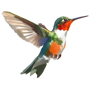 May include: Watercolor painting of a hummingbird in flight. The bird features a vibrant mix of colors, including green, red, orange, and blue. Its wings are spread, showcasing delicate details against a white background. The artwork captures the hummingbird's graceful movement.