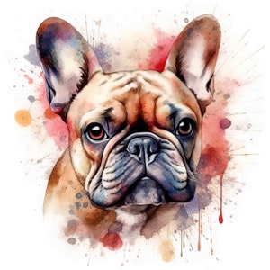 Sticker Französische Bulldogge Aufkleber