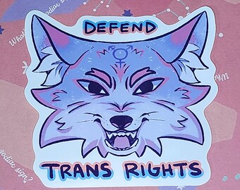 Defend Trans Rights Sticker