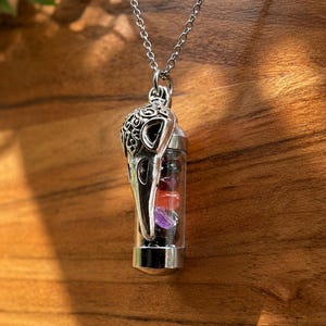 May include: A silver-toned pendant necklace featuring a cylindrical glass vial filled with small, multi-colored polished stones. The vial is topped with an ornate, filigree-detailed metal bird skull charm and hangs from a delicate silver chain.