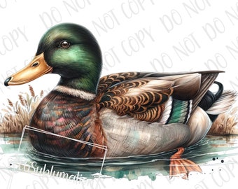 Duck Hunting PNG | Hunting Sublimation | Digital Download | Duck Hunt Hunter PNG | Mallard Duck Sublimation PNG | Country Duck Hunting png