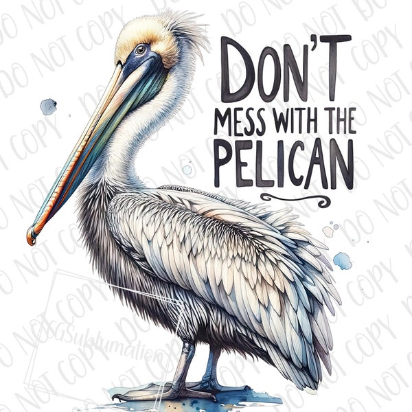 Pelican PNG, Don't Mess With the Pelican Png, Louisiana State Bird Png Sublimation, Funny Pelican PNG, Southern Western Pelican Sublimation