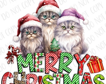 Merry Christmas PNG, Cute Persian Cats Sublimation, Digital Download, Christmas Cats Merry Christmas PNG, Sublimation PNG, Santa Hat Cat png