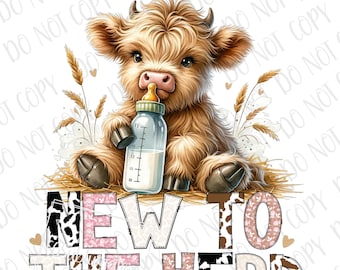 Cute Farm Baby PNG, New To The Herd Highland Cow Sublimation, Digital Download, Barnyard Baby Girl png, Baby Cow png Newborn Baby Shower png