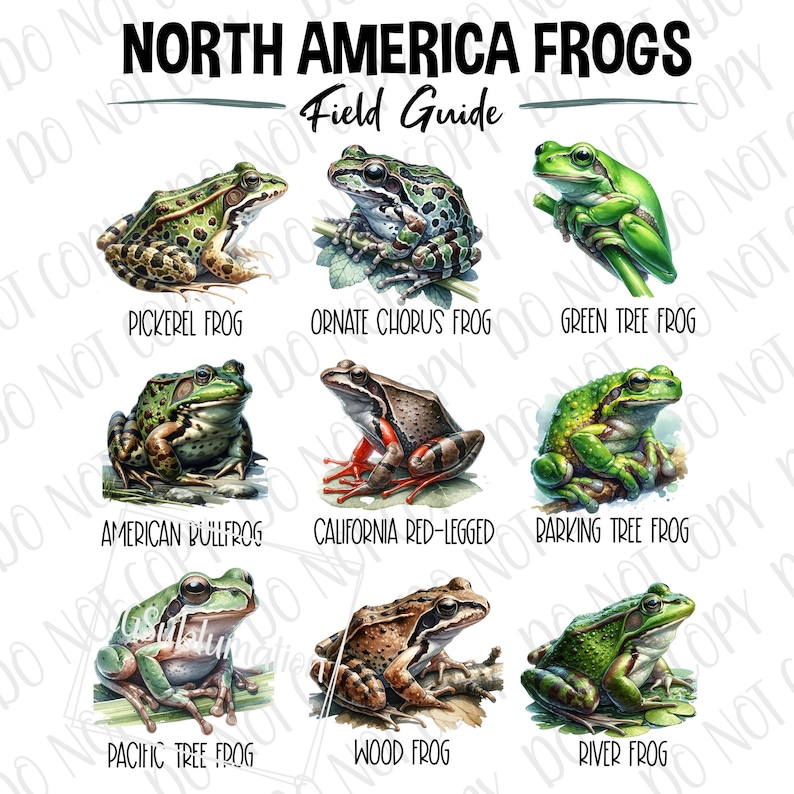 Frog Guide Frog Guide PNG, North American Frog Field Guide Sublimation Digital ...