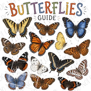Può includere: Un'illustrazione colorata con una varietà di farfalle con motivi alari dettagliati. L'immagine include il testo "Butterflies Guide" in un font giocoso e multicolore. Le farfalle sono in tonalità di giallo, arancione, blu, marrone e bianco.