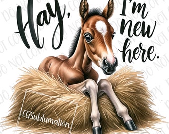 Cute Farm Baby PNG, Hay, I&#39;m New Here Baby Horse Sublimation, Digital Download, Barnyard Ranch Baby png, Baby Horse Newborn Baby Shower Farm