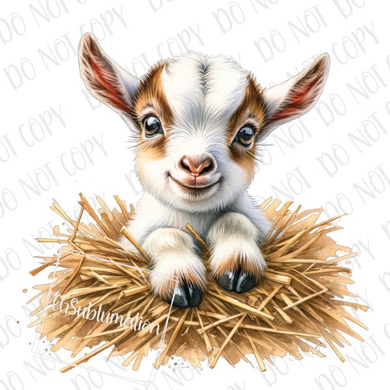 Cute Farm Baby PNG, Goat PNG, Baby Goat Sublimation Digital Download Farm Barnyard Ranch Baby Kid png, Baby Farm Goat Newborn Baby Shower
