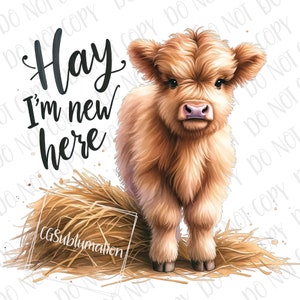 Cute Farm Baby PNG, Hay, I'm New Here Highland Cow Sublimation, Digital Download, Barnyard Baby png, Baby Cow Newborn Baby Shower Farm png