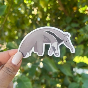 Anteater