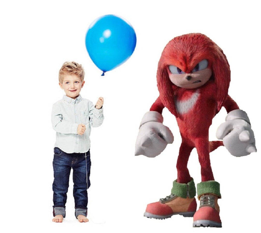 Sonic the Hedgehog Knuckles Birthday Party Cardboard Cutout Etsy
