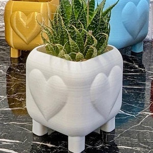 Puede incluir: Cinco macetas de corazón de colores con patas, cuatro están vacías y una tiene una planta suculenta verde.