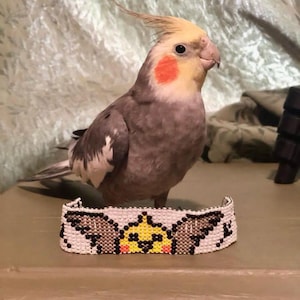 Cockatiel bracelet