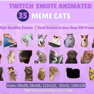 MEME Cat Emotes Animated, Meme Ct Emotes Pack, Meme Emotes Pack, Animated Meme Emotes, Twitch Meme Emotes, Funny Meme Cats Emotes Twitch