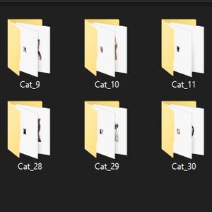 May include: A collection of 20 yellow folders with white labels. Each folder has a number on the label, starting with 01 and ending with 20.