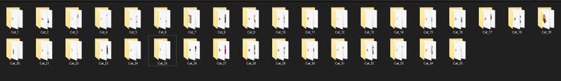May include: A collection of 20 yellow folders with white labels. Each folder has a number on the label, starting with 01 and ending with 20.
