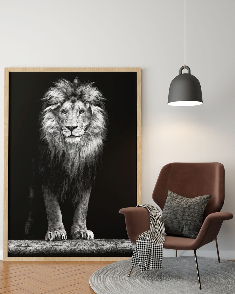 Lion Wall Art Lion Canvas Majestic Lion Canvas Wall Art Set Etsy