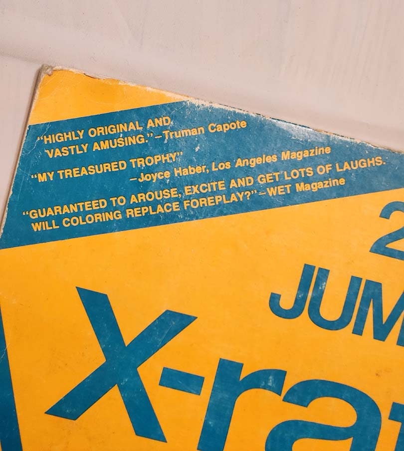 The First Xrated Coloring Book 1980 Etsy