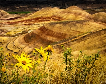 Painted Hills Oregon Print: Central Oregon Landscape Photo