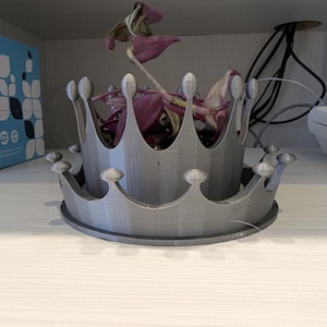 May include: A silver-colored, 3D-printed crown-shaped planter with a tiered design. The planter features two concentric rings of points, each topped with a small sphere. A small plant with purple and green leaves is potted inside the center.