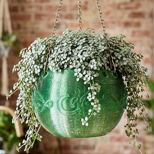 May include: A hanging green planter with a trailing plant. The planter is round with an embossed design and is suspended by a gold chain. The plant has small, light green leaves that cascade down the sides of the planter. The background includes a brick wall and other plants.
