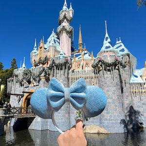 Cinderella Ears, Velvet Ears, Cozy Ears, Soft Ears,