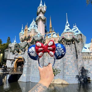Ohana Ears, Lilo and Stitch Ears, Sequin Ears, Ohana Means Family Ears, Handmade Ears, Minnie Ears