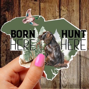Op de afbeelding: Een groene omtrek van de staat South Carolina met de woorden "Born Here Hunt Here" en een bruine en witte jachthond die in het bos zit. Een eend vliegt boven de hond.