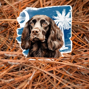 May include: A brown and black German Shorthaired Pointer dog with a white background featuring a blue sky, a white crescent moon, and a white palm tree.
