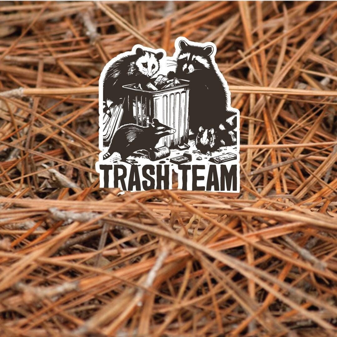 Trash Team Sticker – Funny Raccoon, Opossum, and Rat Vinyl Sticker - Etsy