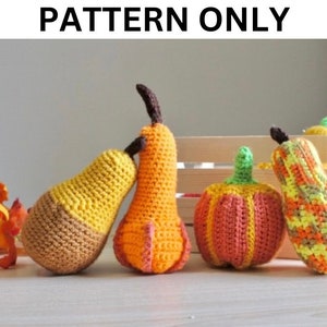 Kürbis und Kürbis Familie Häkelanleitung; HERBST-Ideen; Herbst Dekor; Amigurumi;Home Decor