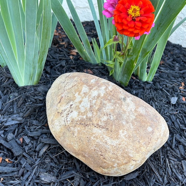 Collection of 2, River Rocks -Large