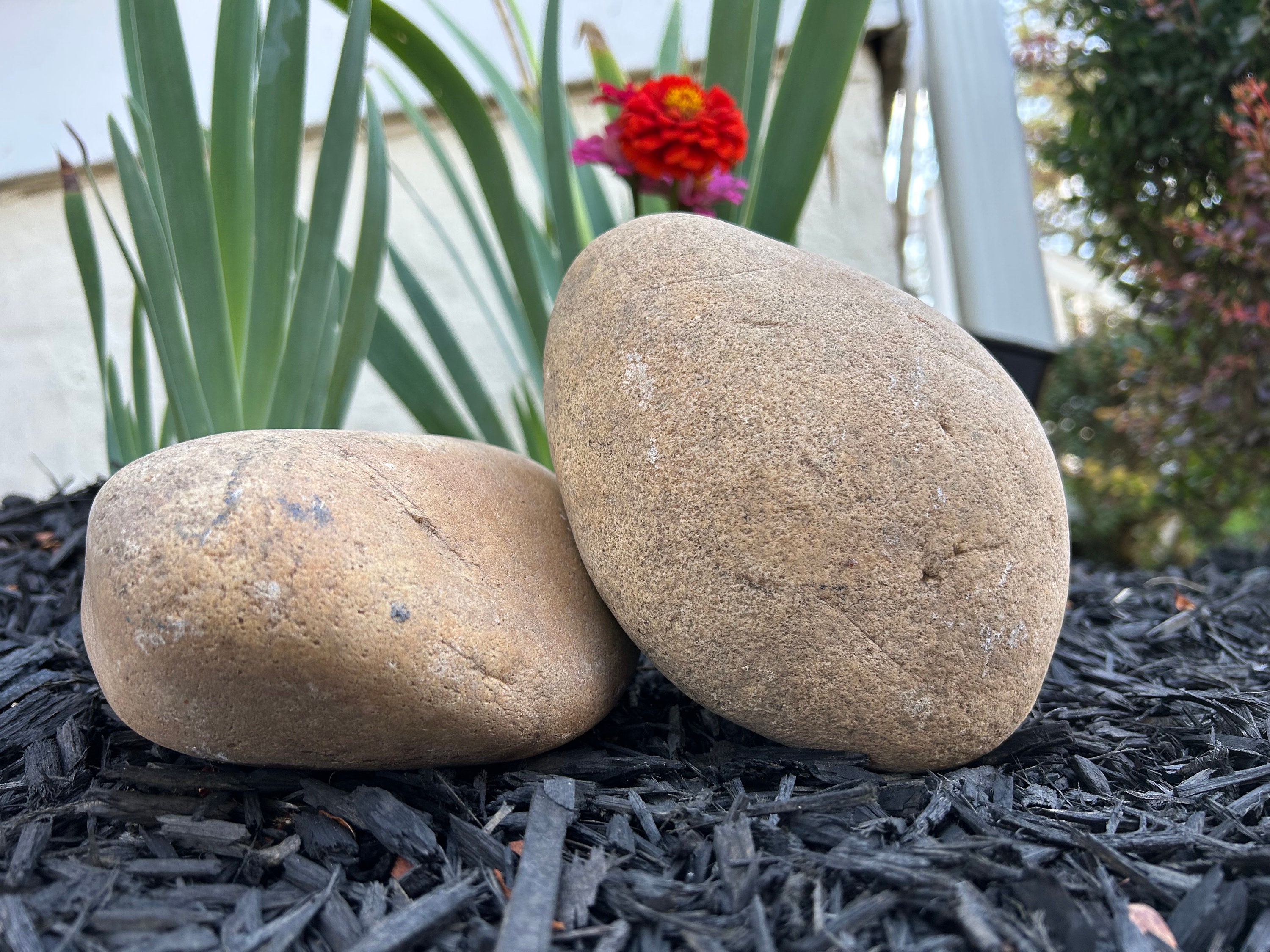 Very Large River Rocks Collection of 2, River Rocks -large - Etsy