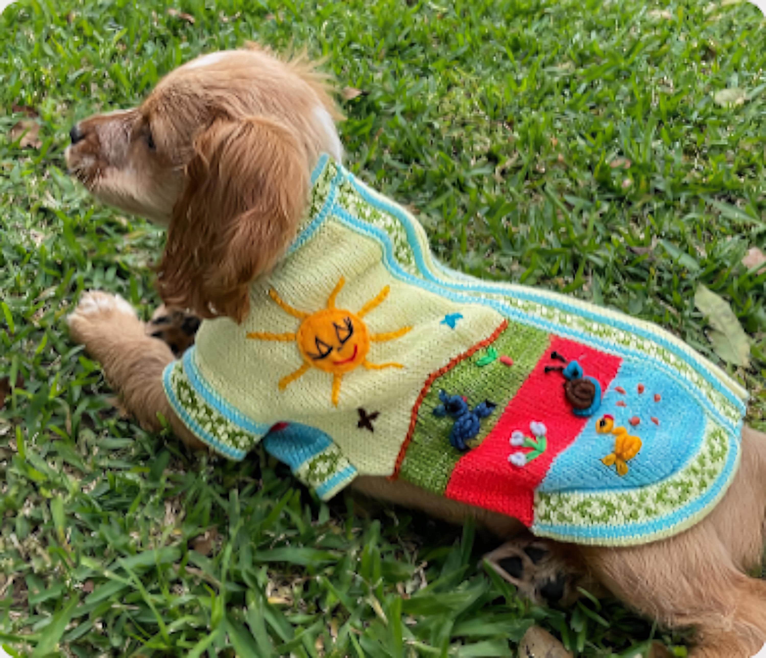 Suéter Alpaca para Perro