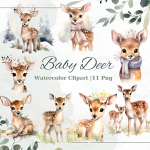 Puede incluir: Clipart de acuarela con múltiples ilustraciones de ciervos bebés. Los ciervos se representan en varias poses, algunos con bufandas o coronas florales. La imagen incluye el texto "Baby Deer" y "Watercolor Clipart | 11 Png".