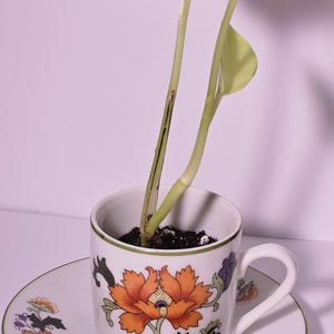 Upcycled Vintage Dolphin China Tea Set
