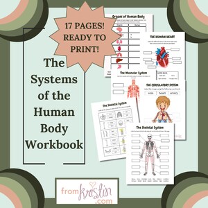 Peut inclure: Un cahier d'exercices coloré intitulé "The Systems of the Human Body Workbook" avec 17 pages. Le cahier comprend des illustrations du cœur humain, du système circulatoire, du système musculaire et du système squelettique. La couverture présente un motif en forme d'étoile avec les mots "17 Pages! Ready to Print!"