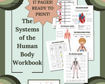 Die Systeme des menschlichen Körpers Workbook - Grundschule