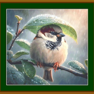 Peut inclure: Illustration détaillée d'un moineau perché sur une branche, abrité sous une grande feuille verte. L'oiseau a des plumes brunes, blanches et grises, avec un bec et un œil sombres. Des gouttes de pluie sont visibles, créant une image sereine sur le thème de la nature.