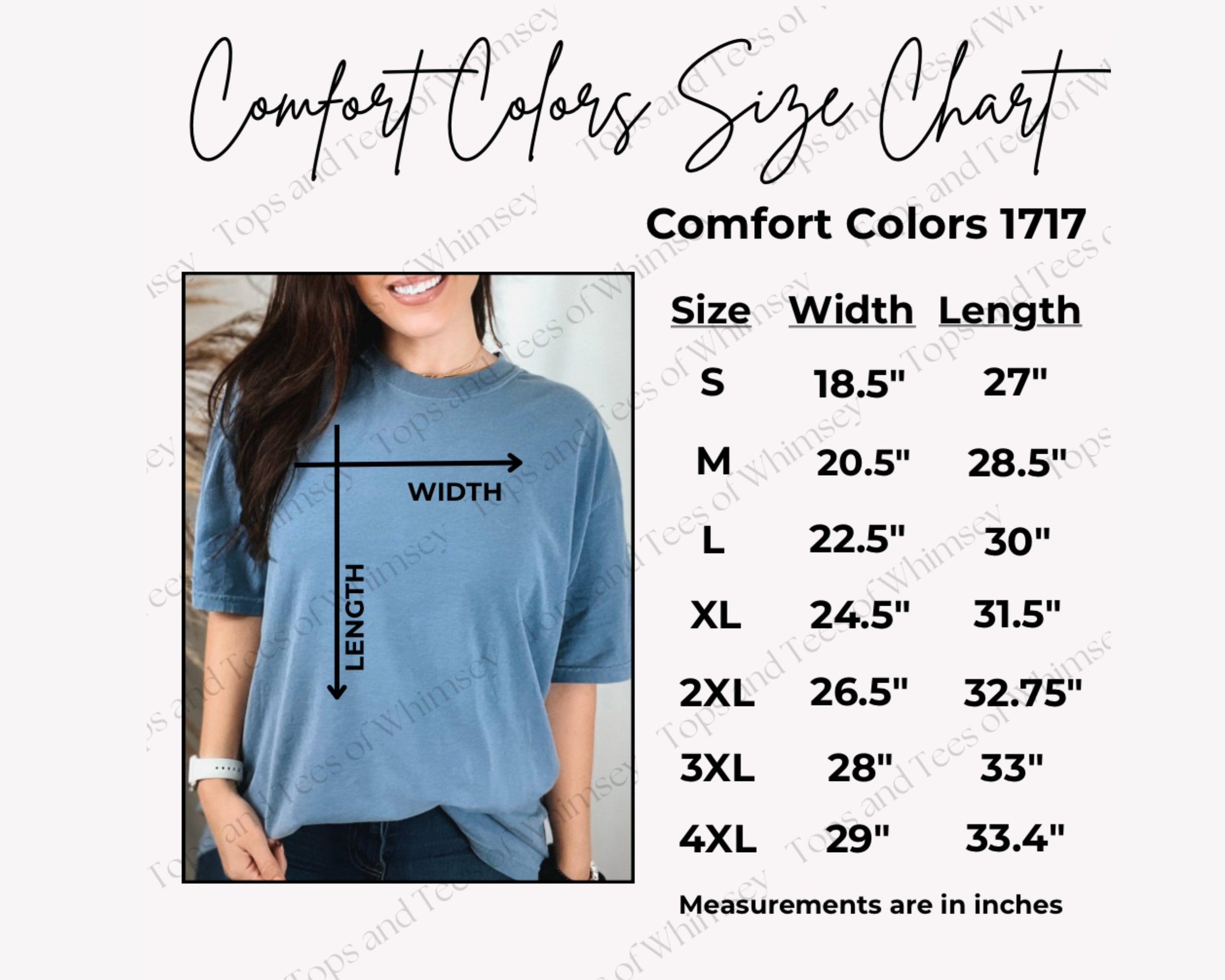 Comfort Colors 1717 Size Chart - Etsy
